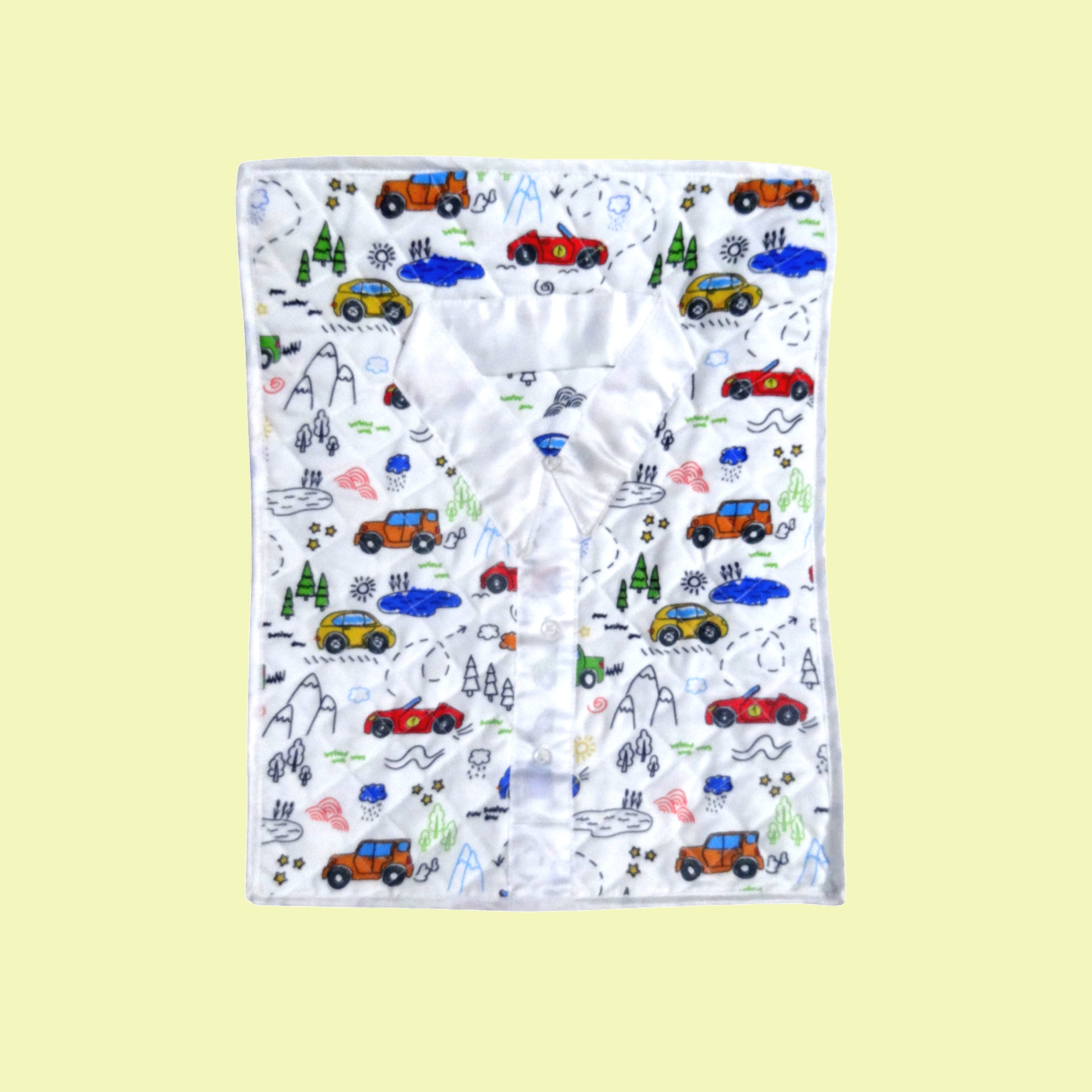 Car - Shirt Organiser