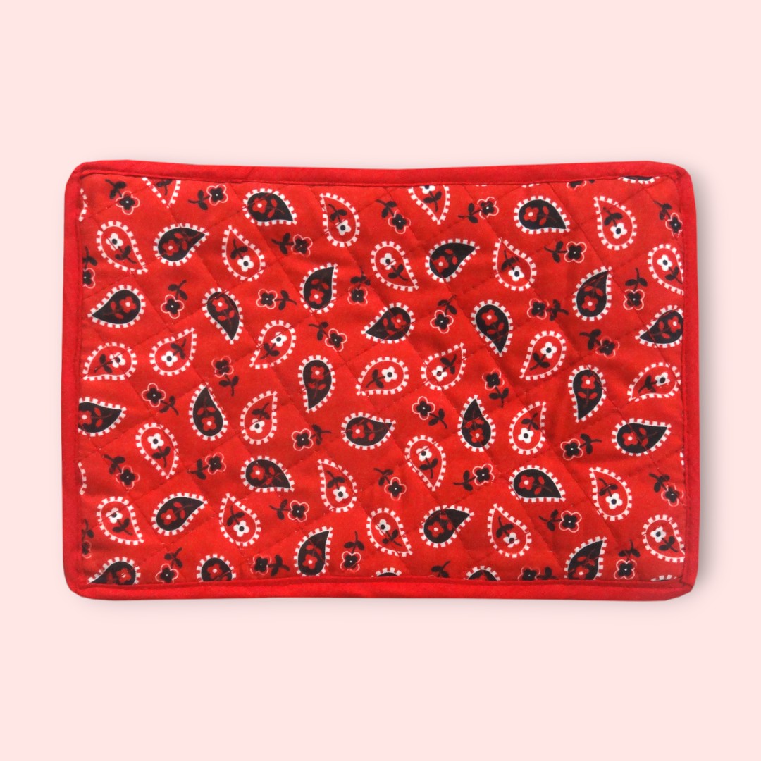Paisley Fun - Jewellery Pouch